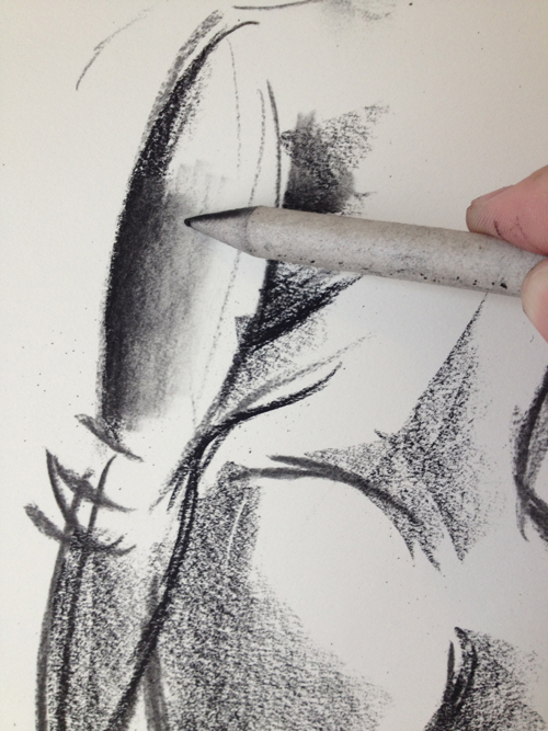 Charcoal Drawing for Adult Beginners